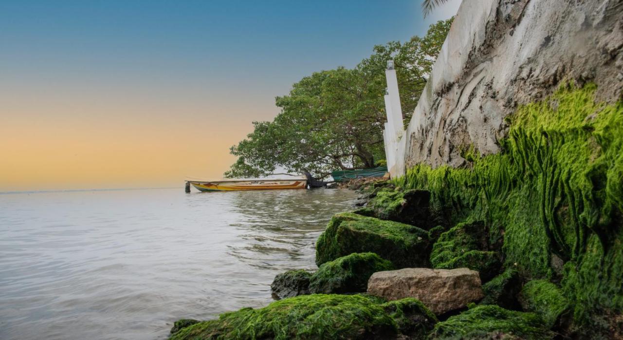 Hiru Lagoon Negombo Kültér fotó